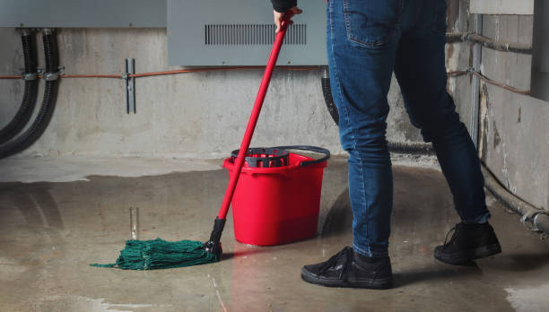 Best Professional water damage repair  in Waskom, TX