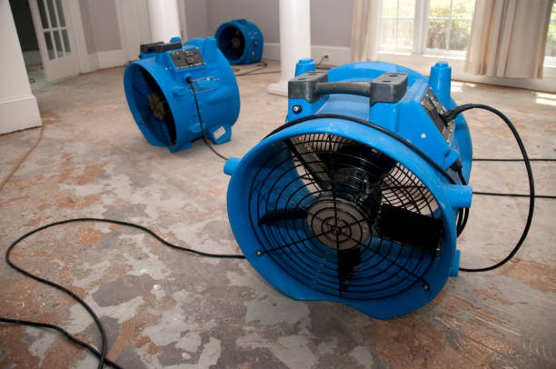 Reliable Waskom, TX Water damage restoration Solutions