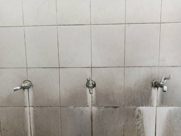 Best Water damage restoration mold remediation  in Waskom, TX