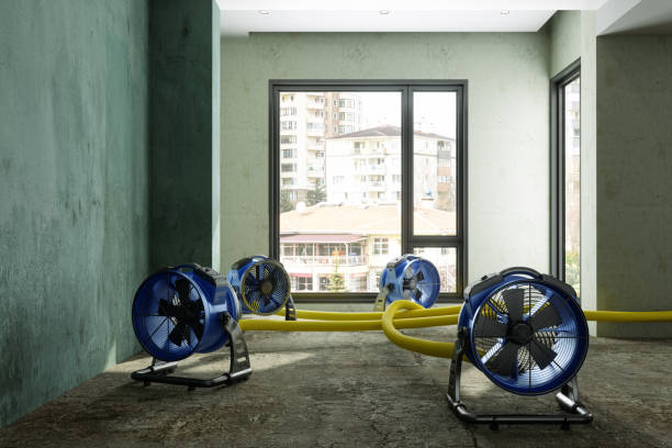 Best Flood restoration services  in Waskom, TX